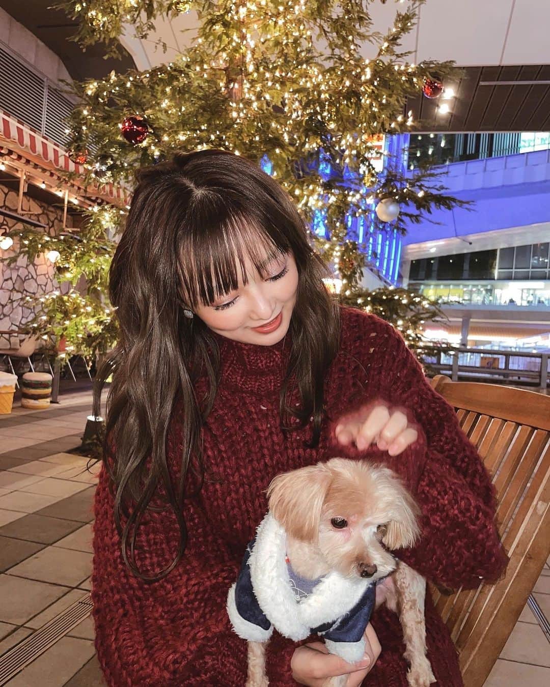 村崎英絵のインスタグラム：「私の相棒♡ ㅤㅤㅤㅤㅤ ㅤㅤㅤㅤㅤ ㅤㅤㅤㅤㅤ  #マルプー #マルプー連合 #トイプードル #マルチーズ #マルプー男子 #doglover #クリスマス #xmas #渋谷  #犬のいる暮らし #犬好きな人と繋がりたい」