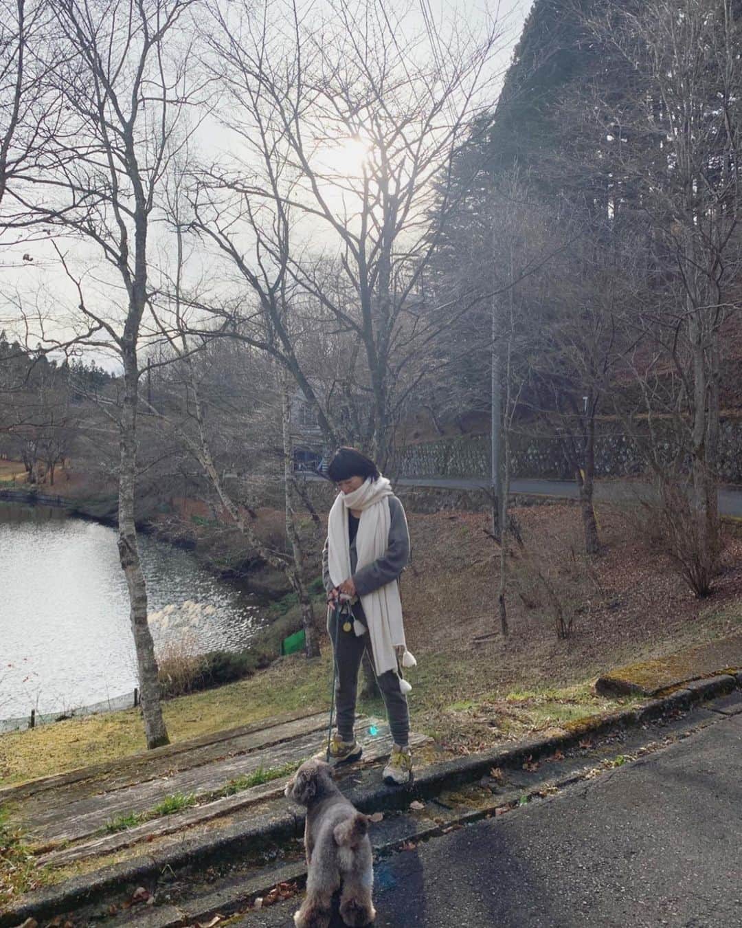 早坂香須子さんのインスタグラム写真 - (早坂香須子Instagram)「#myland #ふたご座流星群 #dan_journal」12月13日 21時23分 - kazukovalentine