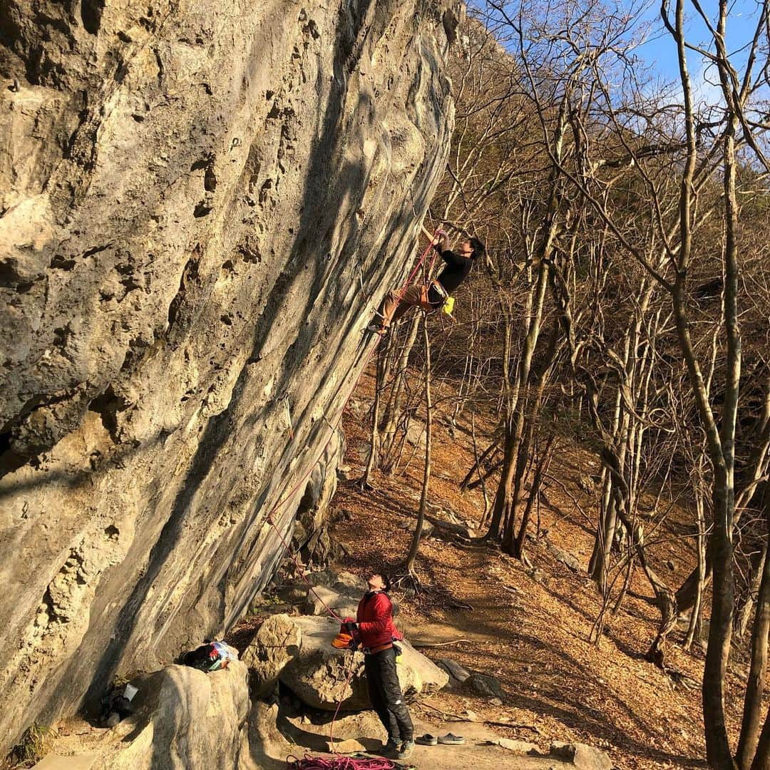 義村萌さんのインスタグラム写真 - (義村萌Instagram)「2020.11.30-12.4  城山・二子山 . 城山 ✔︎  二子山 ✔︎ 任侠道5.13a(5.12d) 3撃 ✔︎ ノースマウンテン 5.12a  OS . 3年ぶり？の城山と二子山ツアー！ 初日の城山はポカポカですごく暖かかった☺️ 目標だったケレンジは思ったより遥かに悪くて敗退… そのあと一番長いからやろ！って決めた12aは見てたラインと違うし苔ってるし、めちゃくちゃ悪くて怖くて半泣きだった…心の底から登れてよかった… . 2日目からは移動して二子山。 大きな石灰岩に感激…！ 晴れたらコンディションよくて気持ちよく登れたけど、曇ると極寒で凍えるくらいだった… 初日は石灰岩特有のツルツルさが怖くて腕張りまくりだったけど、2日目は目標だった任侠道が登れてよかった☺️ 5.11台、5.12台がめちゃくちゃ豊富でどのルートも楽しくて最高の岩場でした🥰  #climbing #leadclimbing #二子山弓状」12月13日 21時57分 - moe.yoshimura