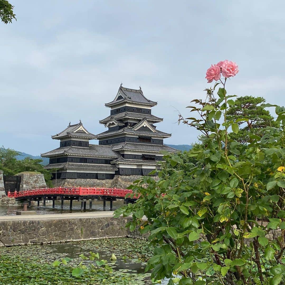 きづきさんのインスタグラム写真 - (きづきInstagram)「松本城。いい。 #夏の思い出 #なんともいえない天気」12月13日 21時55分 - kizuki_h