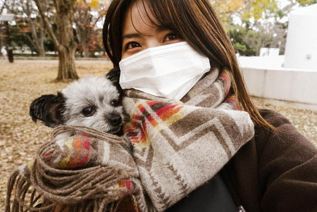 Miyuuさんのインスタグラム写真 - (MiyuuInstagram)「𝓂𝓎 𝓁ℴ𝓋ℯ𝓇🤎🍁🍂 今日は、結構な距離を歩いた🐶 いろんな人やワンコに可愛がってもらって嬉しかったね〜‼︎💫  これから、もっとたくさんいろんな場所へお出かけしようぜい✌🏾🐶✨ #miyuusic#miyuu#紅葉#autumn#fall#秋#lateautumn#fallingleaves#公園散歩#散歩#犬のいる暮らし#犬のいる生活#マフラーコーデ#pendleton#filmphotography#lifewithdogs#lifewithゆる太」12月13日 22時13分 - miyuuamazing