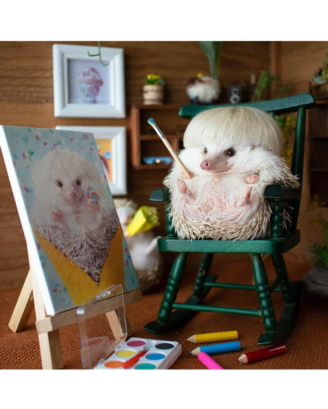 ダーシーさんのインスタグラム写真 - (ダーシーInstagram)「Professor Koala👨‍🏫 Painter Chopin🧑‍🎨  👓🖌#photoshopped  ほんと口髭みたいなお鼻🥸😂✨」12月13日 22時29分 - darcytheflyinghedgehog