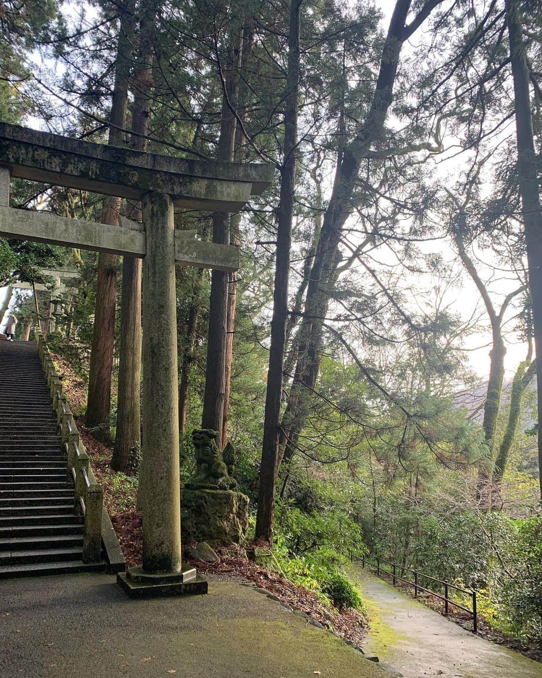 風間ゆみえさんのインスタグラム写真 - (風間ゆみえInstagram)「雨に濡れた境内は夕暮れに向かうオレンジ色の光が差してとても美しい  雨がぱらつき出した金沢から、白山比咩神社へ向かう空は青く、到着した駐車場で深呼吸。雨上がりの澄んだ空気に包まれ、いつもながらお天気に良く恵まれている。  人生初の吉方位旅。 (教えてくれたのは) @aokiyoshifumi  Thank you✨  予定の調整が難しく、思いきって出かけた日帰りの旅でしたが、1〜2泊したような満足感。  突然訪れたのに1日向き合ってくれた @kawasakitomomi に感謝🙏✨  そして私の行動力にも感謝🙏😂✨  #吉方位取り  #石川県 #金沢 #白山比咩神社」12月13日 22時48分 - yumie_kazama