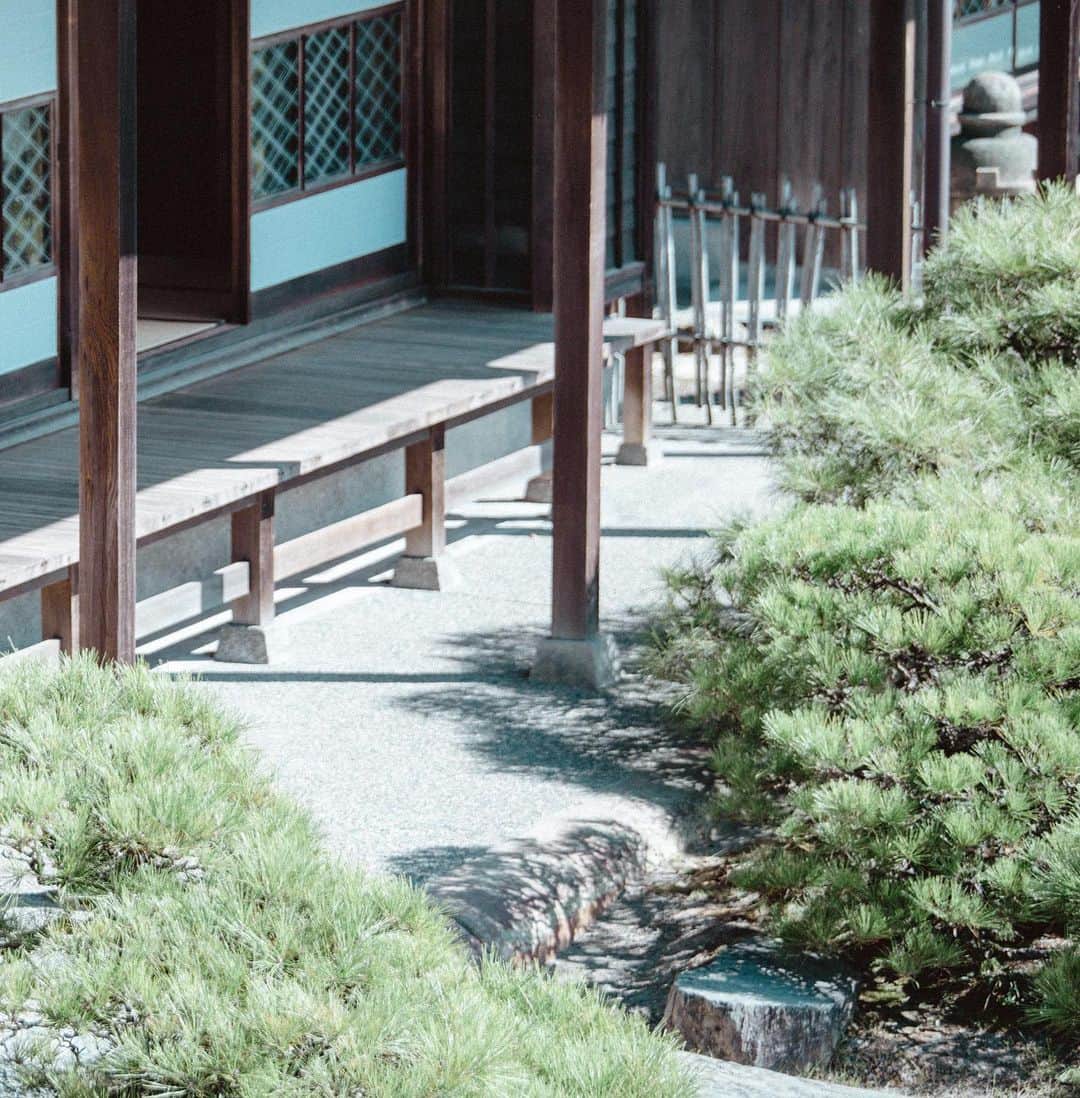 柳川藩主立花邸御花 | Yanagawa Ohanaさんのインスタグラム写真 - (柳川藩主立花邸御花 | Yanagawa OhanaInstagram)「﻿ 御花の松濤園。﻿ 一番の美しさは朝にあると思います。﻿ ﻿ 朝の優しい光に照らされた、﻿ みごとな黒松と赤松。﻿ 池の中を優雅に泳ぐ鴨たち。﻿ ﻿ 心洗われる、美しい景色が広がっています。﻿ ﻿ ぜひ、御花での朝食をお召し上がりになる前は﻿ 朝の大広間を楽しんでみてください。﻿ ﻿ #柳川藩主立花邸御花﻿ #御花#柳川#ohana﻿ #yanagawa #fukuoka﻿ #立花家#歴史#レトロ#ハイカラ﻿ #旅行#ホテル#料亭﻿ #料亭旅館#福岡旅館﻿ #日本料理#福岡料亭#柳川旅行﻿ #九州旅行#福岡旅行#文化財ホテル﻿ #文化財旅館#国指定名勝﻿ #野鴨#鴨#野鳥#松濤園﻿ #文化財に泊まる#文化財」12月13日 23時25分 - tachibanateiohana