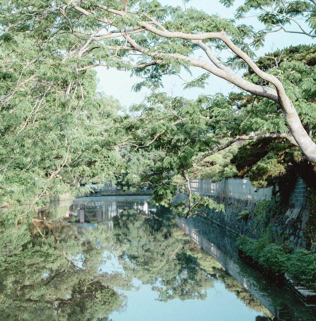 柳川藩主立花邸御花 | Yanagawa Ohanaさんのインスタグラム写真 - (柳川藩主立花邸御花 | Yanagawa OhanaInstagram)「﻿ 御花の松濤園。﻿ 一番の美しさは朝にあると思います。﻿ ﻿ 朝の優しい光に照らされた、﻿ みごとな黒松と赤松。﻿ 池の中を優雅に泳ぐ鴨たち。﻿ ﻿ 心洗われる、美しい景色が広がっています。﻿ ﻿ ぜひ、御花での朝食をお召し上がりになる前は﻿ 朝の大広間を楽しんでみてください。﻿ ﻿ #柳川藩主立花邸御花﻿ #御花#柳川#ohana﻿ #yanagawa #fukuoka﻿ #立花家#歴史#レトロ#ハイカラ﻿ #旅行#ホテル#料亭﻿ #料亭旅館#福岡旅館﻿ #日本料理#福岡料亭#柳川旅行﻿ #九州旅行#福岡旅行#文化財ホテル﻿ #文化財旅館#国指定名勝﻿ #野鴨#鴨#野鳥#松濤園﻿ #文化財に泊まる#文化財」12月13日 23時25分 - tachibanateiohana