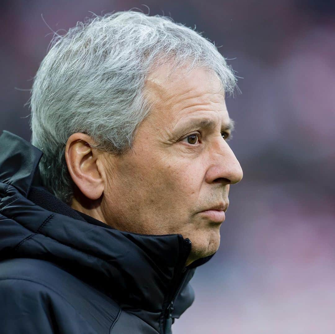 ボルシア・ドルトムントさんのインスタグラム写真 - (ボルシア・ドルトムントInstagram)「Borussia Dortmund trennt sich von Trainer Lucien #Favre. Bis zum Saisonende wird der bisherige Co-Trainer Edin #Terzic als Cheftrainer fungieren.  💬 Hans-Joachim #Watzke: „Wir alle sind Lucien Favre dankbar für seine hervorragende Arbeit in den vergangenen zweieinhalb Jahren, in denen er mit seinem Team zwei Vizemeisterschaften errungen hat. Als Fachmann und als Mensch ist Lucien Favre über jeden Zweifel erhaben.“」12月13日 23時17分 - bvb09