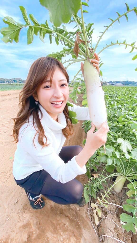 岡田彩花のインスタグラム