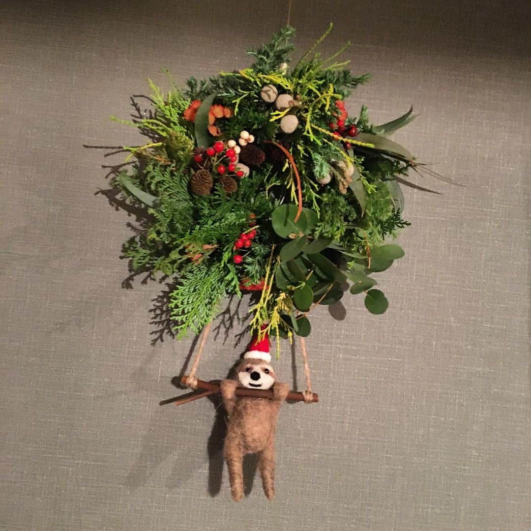今村沙緒里のインスタグラム：「クリスマスリース🌲 うちのケモ子とぴったり🦥！！ 母に頼まれて購入したのですが… すぐ、もう一つお願いしました🌿 ユーカリと針葉樹の香りにも癒されます。 "エルゼアール"はユリちゃんが昔よく行ってたり "ヨーガンレール"でもお花の展示をしてたり… 不思議なうれしいつながり＊ 友達とか夫婦も似た人が集まりますね🐈 正博さん＋朝子さんご夫婦の素敵なお花屋さん。 かわいいリース、おすすめです💜 Christmas lease！！ #christmas #lease #elzeard #flower #plants #sloth #크리스마스 #꽃 #クリスマス #リース #エルゼアール」
