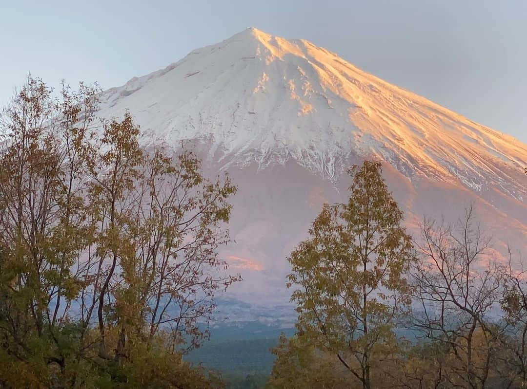 phantastic420さんのインスタグラム写真 - (phantastic420Instagram)「. 🤩🤩“Shizuoka” prefecture in Japan is a place where you can see the most “phantastic” Mt. Fuji🗻 in the world.🤩 #富士山 #mtfuji #japan #shizuoka #fujinomiya  #宮すた #miyasta @fujinomiyacity  #phantastic420photography #mostphantasticmtfuji #selamatpagi  #goodmorning  #おはようございます  #สวัสดี 🙏#สวัสดีครับ 🙏🇹🇭😇😇😇😇😇🗻😇😇😇😇 🇹🇭#Thailand now 🤣#サワディーカップ 🙏#サワディー 🙏」12月14日 0時03分 - phantastic420