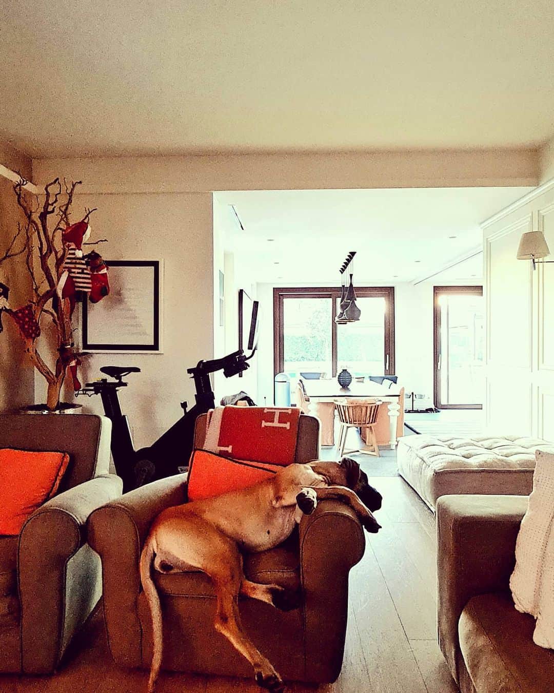 クラウディオ・マルキジオさんのインスタグラム写真 - (クラウディオ・マルキジオInstagram)「Sunday 📸  #details #home #doglife」12月14日 0時33分 - marchisiocla8