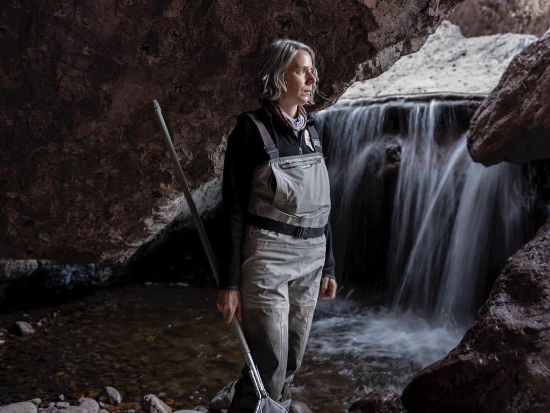 National Geographic Creativeさんのインスタグラム写真 - (National Geographic CreativeInstagram)「Photo by @katieorlinsky / Jill Wick, biologist and native fish program manager with the New Mexico Department of Game and Fish, uses an electrofisher to catch gila trout in Whitewater Creek along the northwest boundary of the Gila Wilderness. It is one of the few places in the world where you can catch a gila trout. I was fortunate that the creek had recently been stocked with around 1,000 young fish spawned earlier this spring and Jill was able to catch and release dozens of this iconic speckled species. Gila trout are actually relatives of Pacific salmon that evolved over time to survive the harsh high desert conditions. There existence has been threatened since the late 19th century due to the stocking of the Gila River with nonnative trout, overfishing and habitat deterioration fortunately as early as the 1920s conservation efforts to restore the species began and over the next decades Gila trout have been returned to numerous streams in New Mexico and nonnative trout have been removed.」12月14日 0時41分 - natgeointhefield