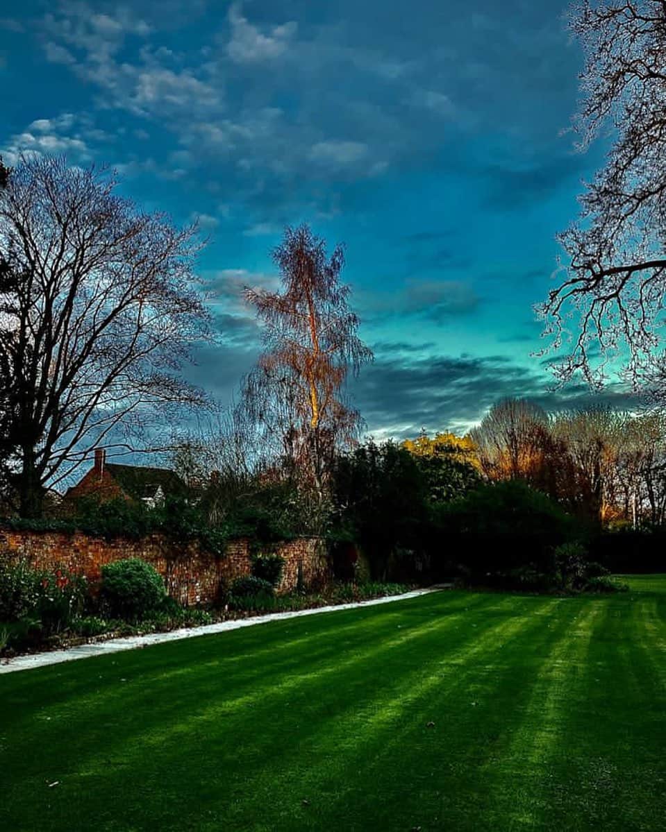 ValGarlandのインスタグラム：「Last light of day....   #InTheGardenWithVal #SilverBirch #NotRainingHere」