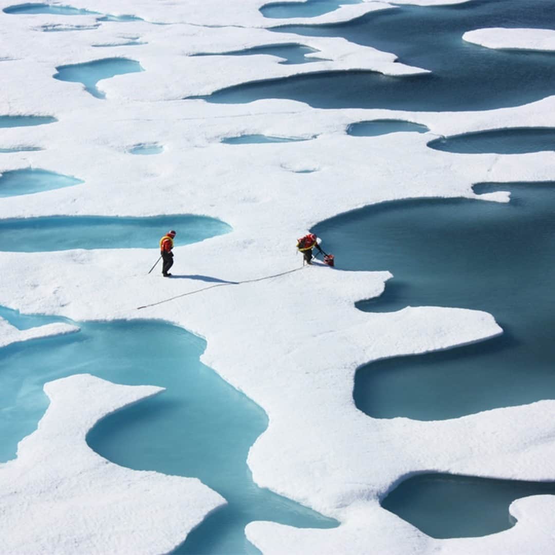 TED Talksのインスタグラム：「There's a deceptive kind of polar ice that is floating in the Arctic. While it looks thick and stable from a distance, it can break apart before researchers’ eyes — in a phenomenon known as "rotten ice". Since scientists have long relied on satellites to measure ice, discovery of this illusion has led to a scary truth: That our ice caps are actually more at risk than we thought. And this impact extends far beyond the North Pole. “The Arctic connects to the temperate parts of the planet and may even connect to the tropical parts of our planet, and we’re just beginning to understand how these complex interconnections work," says researcher David Barber. Head to the link in our bio to learn more about how this receding ice could be increasing  extreme weather events even where you live.⁠ ⁠ [Photo: NASA Goddard Space Flight Center]」
