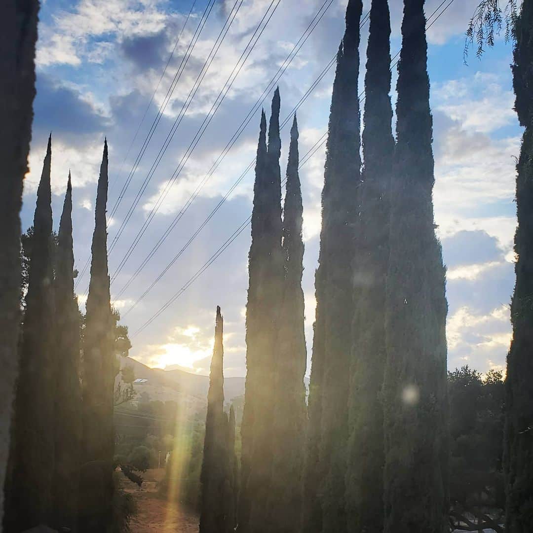 ガソリングラマーさんのインスタグラム写真 - (ガソリングラマーInstagram)「Good morning time sunrise #sunrise #shadowhills wow my favorite clouds ever #clouds #cloudslut #goodmorning #bluesky for days #winter #california #cypress ⛅🌤🌞🌟」12月14日 2時09分 - gasolineglamour