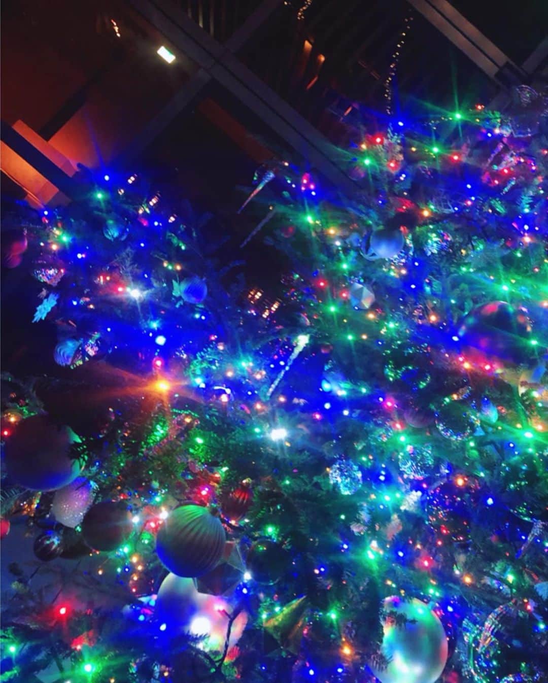 Mayu Ogawaさんのインスタグラム写真 - (Mayu OgawaInstagram)「🎄🎄 クリスマス感、感じたよ♪ 綺麗だったなぁ〜💙❄️  お家もちょこっとクリスマス♪ 気分は上げていかなきゃね！  🌟本日2動画レッスン公開です♪ 好きな時にゆっくりお勉強タイム♡ @miroom_nail @art_of_vibes   #grandhyatttokyo  #クリスマスツリー #コロナに負けるな #christmas #xmas #美しい景色 #mdanail #mdamayu #銀座ネイルサロン #ネイルサロン」12月14日 13時49分 - m_d_a