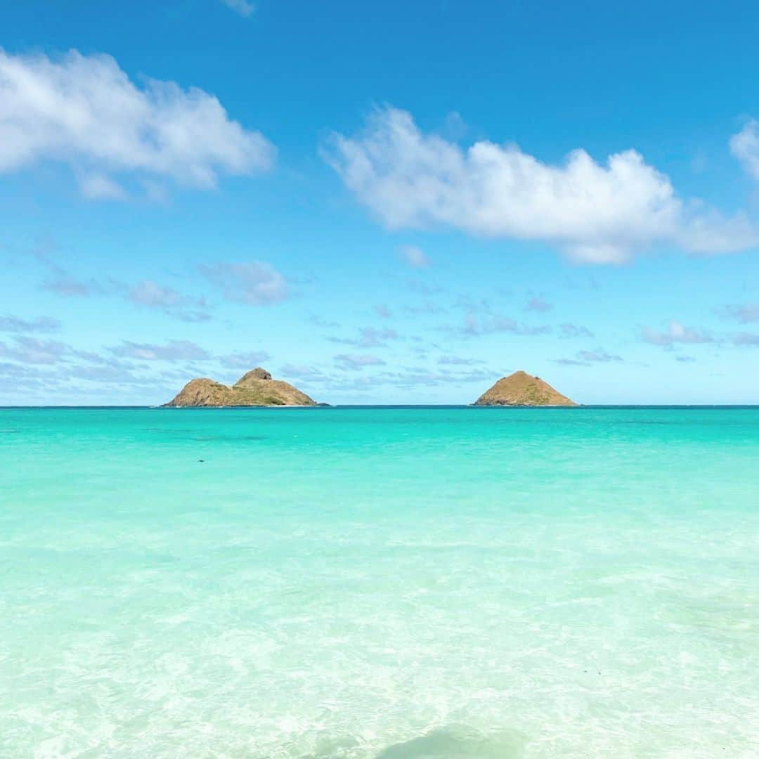 マキ・コニクソンさんのインスタグラム写真 - (マキ・コニクソンInstagram)「Good morning from Hawaii!! 今日は朝から”バタバタ”!!😵 こうゆう時こそ”バタバタ”を有意義に無駄なく使いましょう！  私はいつも”バタバタ”の合間に趣味の写真を撮る事でリラックス&エンジョイしています！🤗  毎回思うんだけどLanikai Beachは “This is Hawaii”だね。 サスガ全米で一番美しいビーチに選ばれた ことだけある！☝🏼納得のトクコ！😁  今日はこれからワイアナエのファームに ワンズと行って来ます！西もいいね！😊 イルカがたくさんいる所！🐬🐬  今日もお互いワクワクする事を考えて自分を楽しませてあげましょう！🤗  笑顔で行ってらっしゃい！👋🏼  #エアハワイ🌺  #ハワイのおすそ分け🤙🏼  #自分孝行を沢山しよう！」12月14日 4時47分 - makikonikson