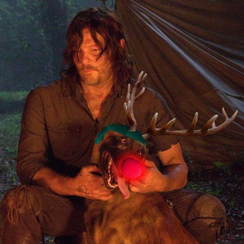 The Walking Deadのインスタグラム：「The Talking Dead holiday special is tonight on AMC+!  . . . #TalkingDead #TheWalkingDead #WalkingDead #TWD」