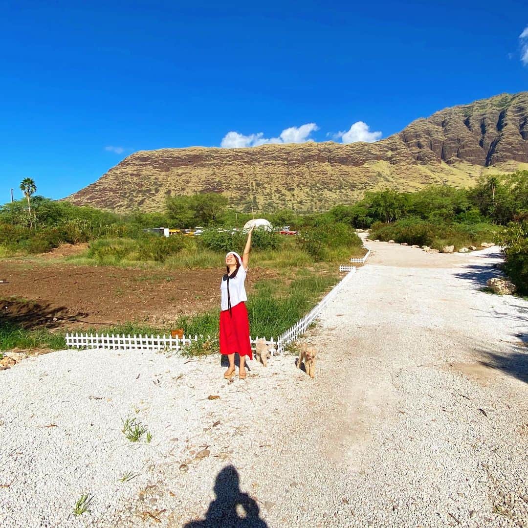 マキ・コニクソンさんのインスタグラム写真 - (マキ・コニクソンInstagram)「Waianae ValleyにあるHappy Rainbow Farmに来ました！今日は新たに赤いブーゲンビリアを植えました！土に触ると何だかいい気分になる。そして光合成万歳🙌🏼 ファーミングって楽しいね！🤗  写真5枚目のスペースに小さな向日葵ファームを作る計画をしています！ 来年の今頃は花が咲いてるといいな！🌻🌻  今から夢を膨らましております！😆 いつか皆さんにお見せ出来る様に頑張る！ 楽しみが沢山待ってるーーっ！🤗  #waianaevalley #happyrainbowfarm #楽しみは自分で作る物！ #小さな楽しみ大きな幸せ🤗 #皆さん完全したら是非来て下さいね！ #マキサンタ🤶🏻」12月14日 7時52分 - makikonikson