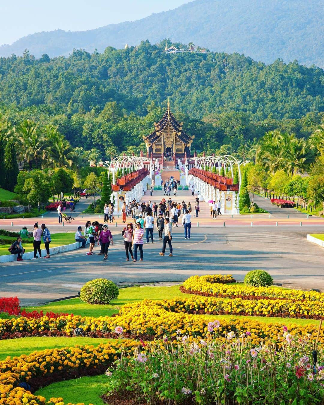 タイ国政府観光庁さんのインスタグラム写真 - (タイ国政府観光庁Instagram)「・﻿ ／﻿ ラーチャプルック花博記念公園から﻿ おはようございます☀️﻿ ＼﻿ ﻿ 植物園で約2,000種類もの植物と花が栽培されている、「ラーチャプルック花博記念公園」の写真をお届け📸﻿ ﻿ チェンマイ中心部から車でおよそ20分の場所にある、ラーチャプルック花博記念公園👀﻿ 広大な敷地内には植物園のほか、世界各国の庭園が20以上も配されています🕊﻿ ﻿ ちなみに「ラーチャプルック」とは、タイの国花「ゴールデン・シャワー」のこと🌼﻿ プミポン前国王の祝賀行事に開催された花博の跡地…という背景を持つ施設でもあります😌﻿ ﻿ 今週も体調に気をつけながら、1週間がんばりましょう😊﻿ ﻿ #今週も頑張ろう #タイ #チェンマイ #ラーチャプルック花博記念公園 #ゴールデンシャワー #花 #花のある暮らし #花のある生活 #公園 #自然が好き #自然が好きな人と繋がりたい #こんなタイ知らなかった #もっと知りタイ #タイ旅行  #旅好きな人と繋がりたい #旅行好きな人と繋がりたい #海外旅行 #thailand #chiangmai #chiangmaitrip #royalparkrajapruek #flowerpark #flowers #flowerstagram #amazingthailand #thailandtravel #thailandtrip #thai #thaistagram #lovethailand」12月14日 8時03分 - amazingthailandjp