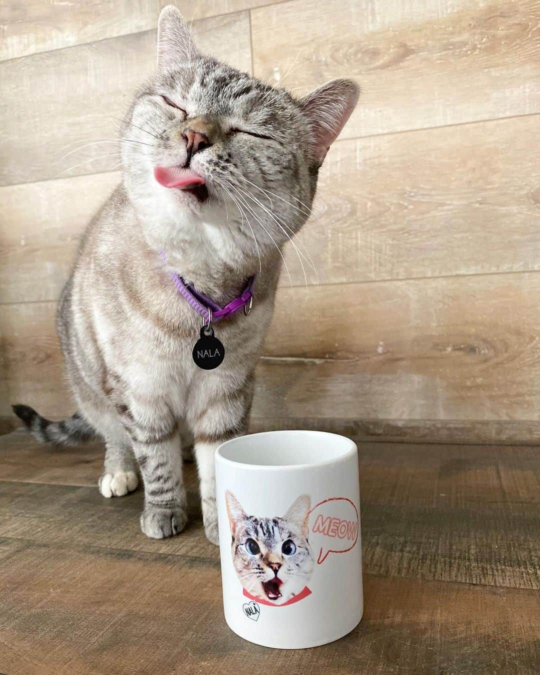 nala_catさんのインスタグラム写真 - (nala_catInstagram)「It’s almost Christmas 🎄 Our newest collaboration with @paulandjoesister limited edition Mugs available at https://www.paulandjoe.us/ #mugs #christmasgifts」12月14日 9時09分 - nala_cat