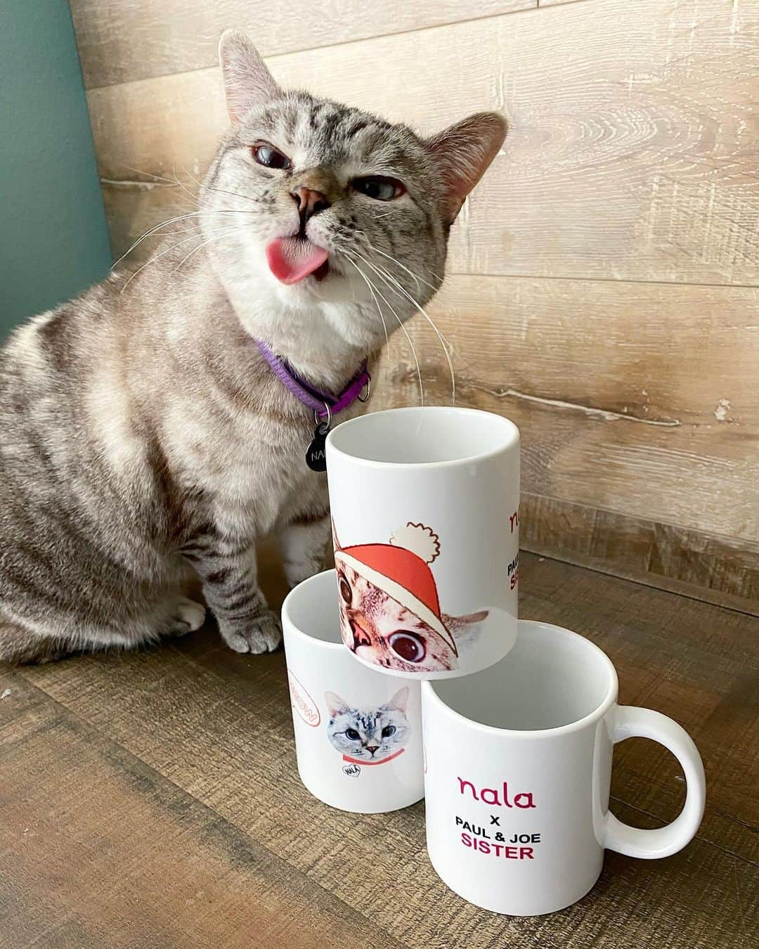 nala_catさんのインスタグラム写真 - (nala_catInstagram)「It’s almost Christmas 🎄 Our newest collaboration with @paulandjoesister limited edition Mugs available at https://www.paulandjoe.us/ #mugs #christmasgifts」12月14日 9時09分 - nala_cat