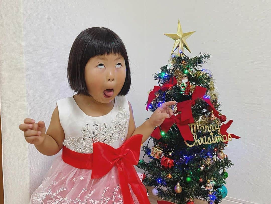 ぽるぽるちゃんさんのインスタグラム写真 - (ぽるぽるちゃんInstagram)「我が家もクリスマス仕様🎄 カメラを向けると顔が強張る🤔  #クリスマスツリー #ダブルサンタ #プルート? #ぽる」12月14日 9時32分 - poruporuchan