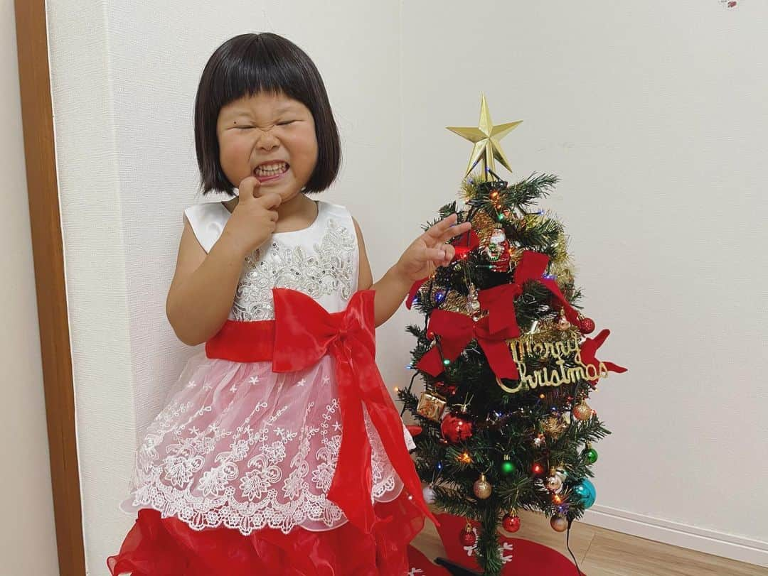 ぽるぽるちゃんさんのインスタグラム写真 - (ぽるぽるちゃんInstagram)「我が家もクリスマス仕様🎄 カメラを向けると顔が強張る🤔  #クリスマスツリー #ダブルサンタ #プルート? #ぽる」12月14日 9時32分 - poruporuchan