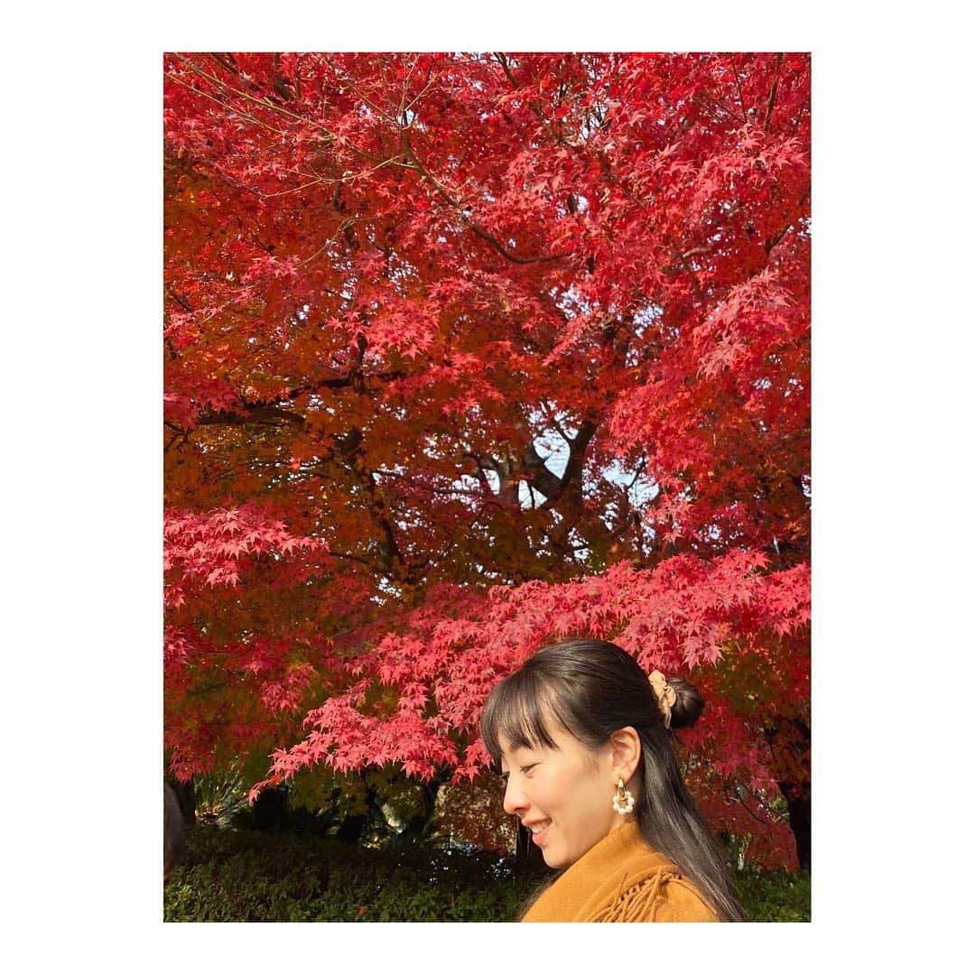 のインスタグラム：「. 🍁🍁🍁🍁🍁 .  #増上寺 #大門  #お散歩 #お散歩日和  #紅葉 #紅葉狩り #🍁  #familytime #家族の時間   #japan #フリーアナウンサー #實石あづさ」