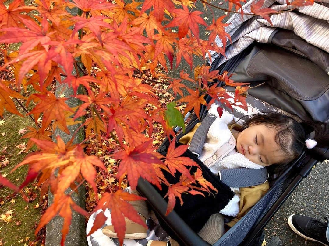 aco.のインスタグラム