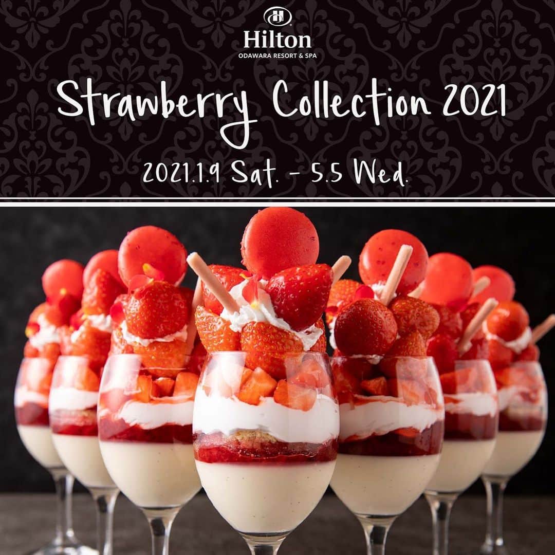 Hilton Odawara Resort & Spaさんのインスタグラム写真 - (Hilton Odawara Resort & SpaInstagram)「本日12/14、10時より予約スタートします❣️ 席数限定、土日祝日の開催です🍓 やっとお会いできますね🥰 ・ #strawberry  #いちご  #いちごスイーツ  #ストロベリーパフェ」12月14日 9時44分 - hiltonodawara