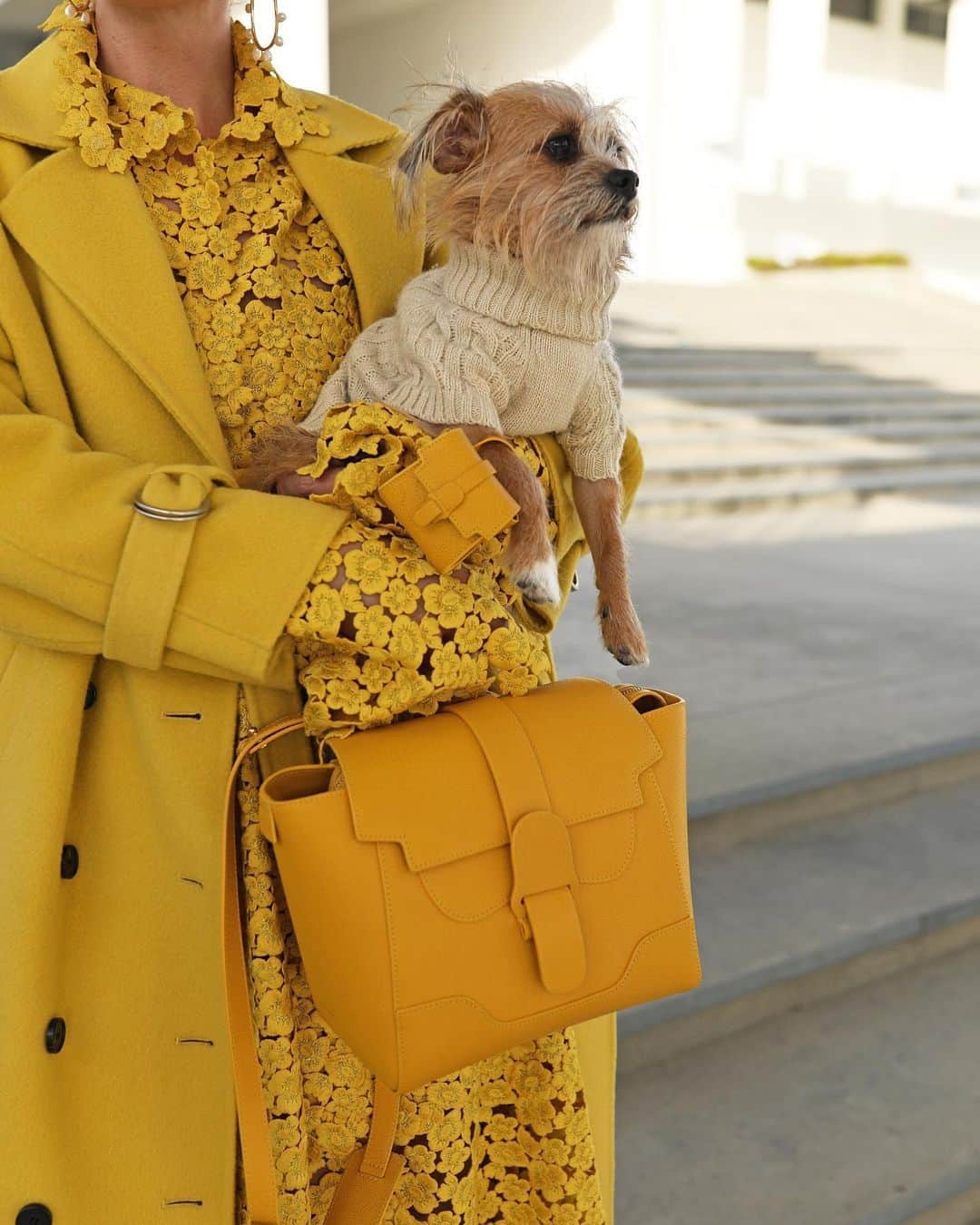 ブレア・イーディーさんのインスタグラム写真 - (ブレア・イーディーInstagram)「<Sunday style in sunshine ☀️ yellow // Penny wanted to carry matching bags today and I couldn’t resist 🙃> #sundaystyle #senreve #dogsweater #yellowoutfit  #adoptdontshop」12月14日 9時46分 - blaireadiebee