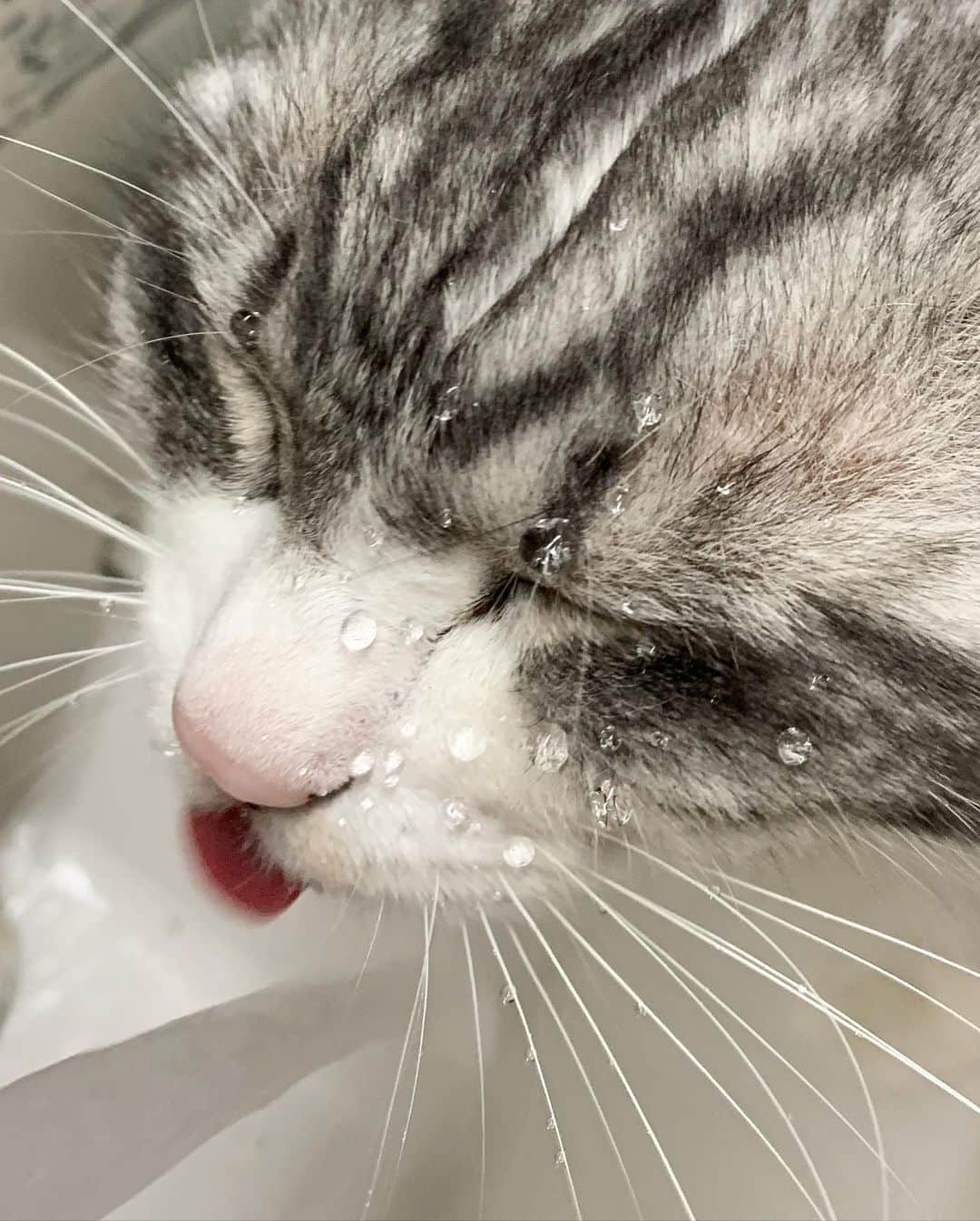 近藤研二のインスタグラム