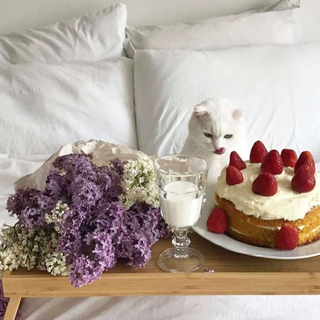 アリスマッコールのインスタグラム：「Reminiscing over weekend brunch 🍰 #aliceMcCAL」