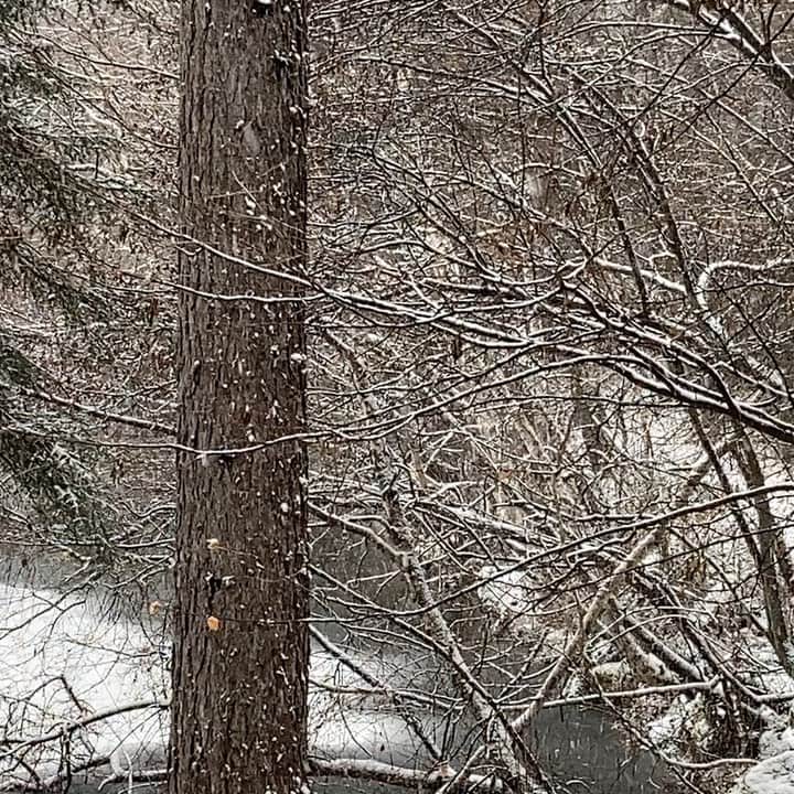 井上荒野のインスタグラム：「雪です。けっこう積もりそう。」