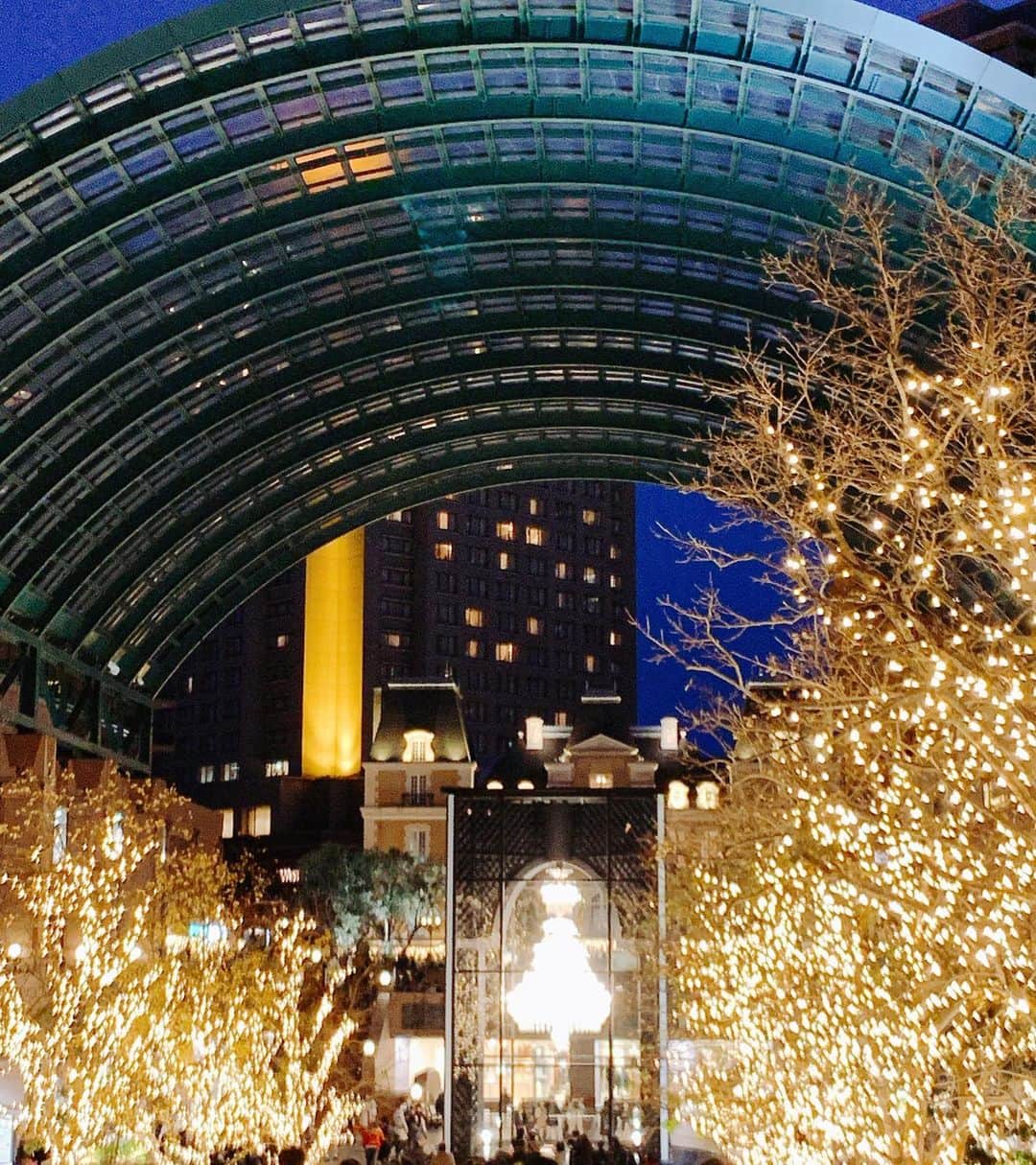 葉月里緒奈さんのインスタグラム写真 - (葉月里緒奈Instagram)「もうクリスマスだなんて。 一年ってあっという間だな。 #恵比寿グルメ #ウェスティンホテル東京 #ランチ#ビュッフェランチ #恵比寿ガーデンプレイス #クリスマス#バカラシャンデリア #rionahazuki」12月14日 10時38分 - riona_hazuki