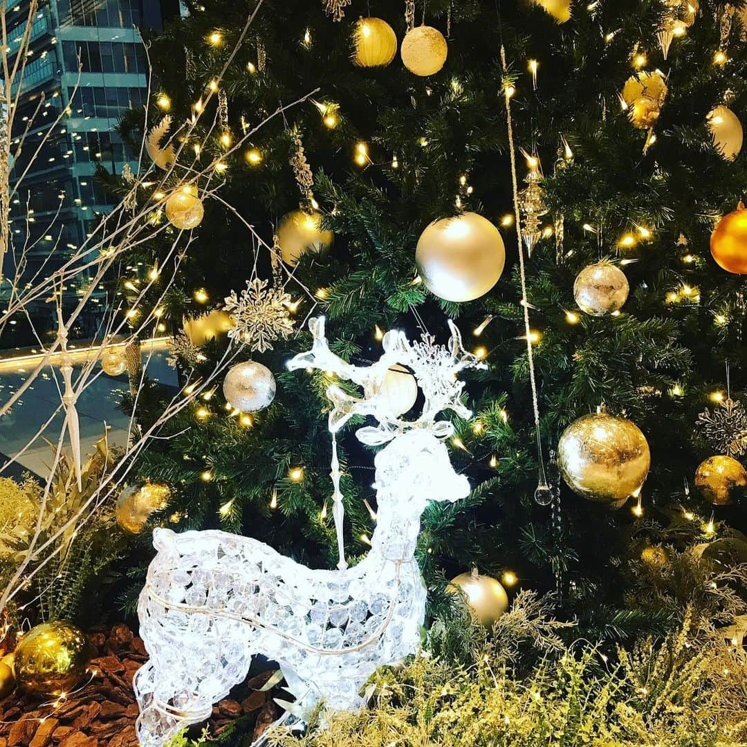 大湯みほさんのインスタグラム写真 - (大湯みほInstagram)「………… もうすぐ…クリスマス🎄✨かぁ✨かわいらしいトナカイ🦌🎁✨を見つけて ・ クリスマス🎄気分を味わいたくなってGODIVA🌟へ🥤 あま〜いチョコ🍫が体中にしっとりと染み込んで幸せ〜✨ ・ 今夜からとても冷え込むようなので、皆さん帰り道はあったか〜くして下さいね😊 ・ #xmas #tree #🎄　#🌟　#2020 #happymerryxmas #🍫　#chocolate #drink #GODIVA」12月14日 10時47分 - nukazukemiho0320