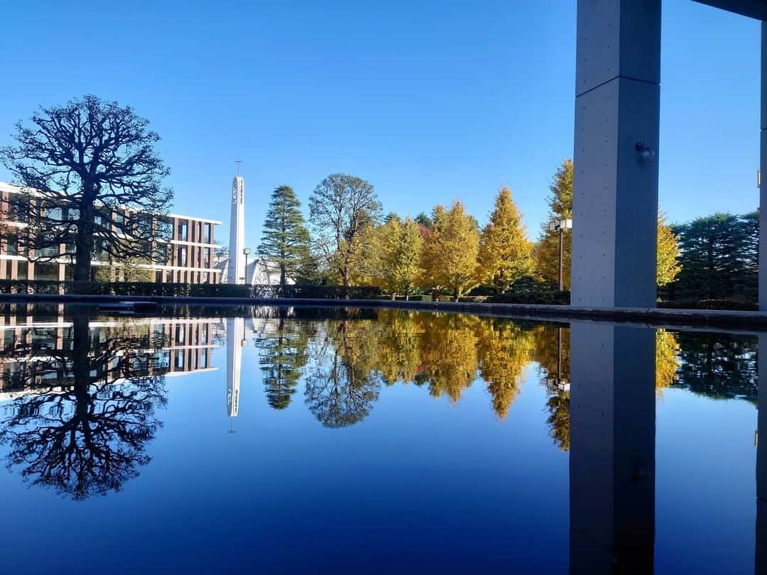 立教大学のインスタグラム