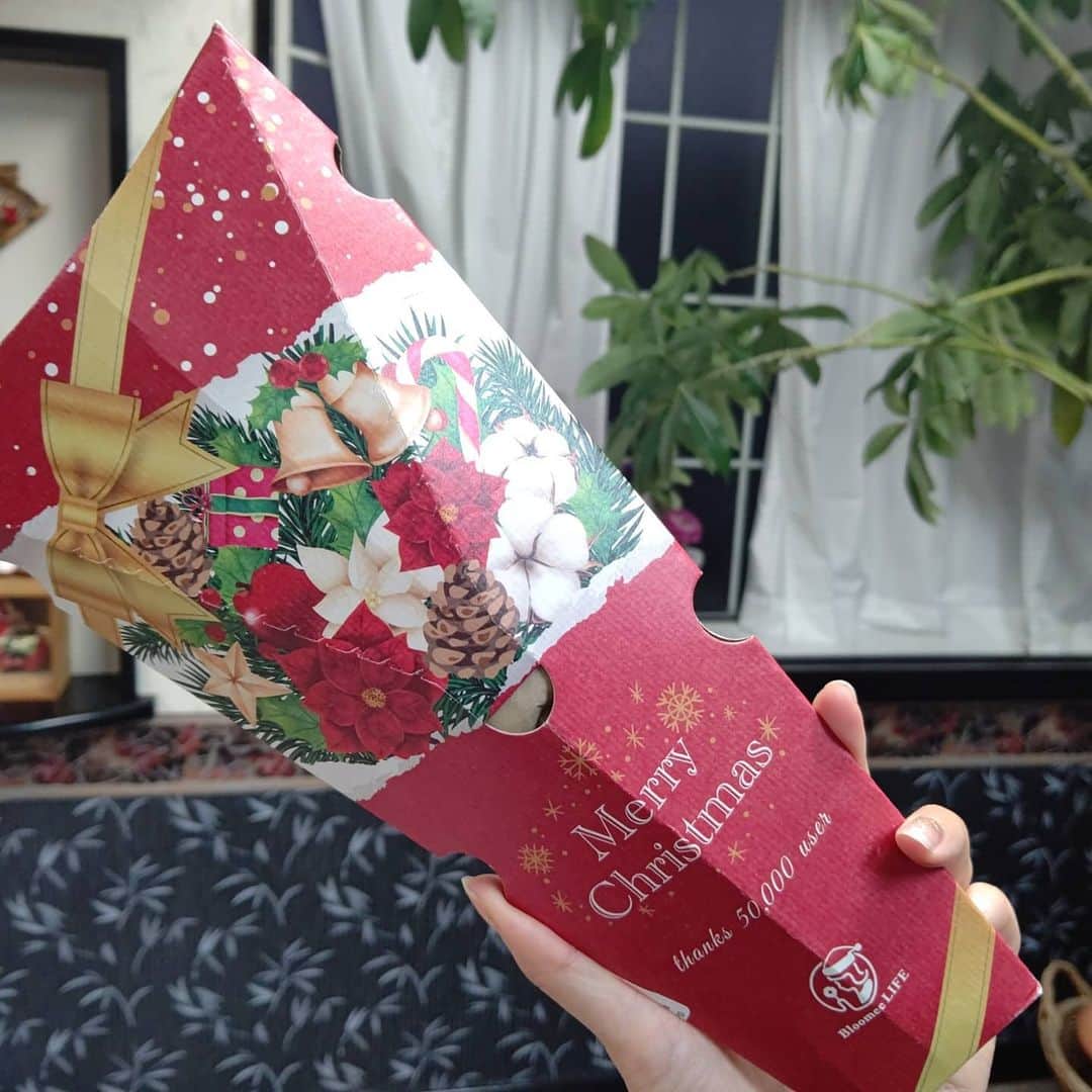 松浦麻里奈さんのインスタグラム写真 - (松浦麻里奈Instagram)「玄関に新しいブルーミーライフのお花飾る🥰✨ お花の定期便 @bloomeelife　🤗  ムービー🎥2.3.4枚目 玄関が華やかになりました🌸😍 蕾は、これから咲くから楽しみにしてる〜(〃ﾟ3ﾟ〃)  パッケージもXmasデザインで、可愛い😍🌱  お花の種類は届いてからのお楽しみ🌸 毎週ワクワクするお花の定期便⊂(・▽・⊂)  初回のお花お届けが無料になる ▼▼クーポンコード▼▼  ■クーポンコード：ay ■有効期限：2020年12月31日 . .  #お花 #お花のある暮らし #キャンペーン #campaign #pr #花瓶 #花瓶の花 #Flower  #フラワーアレンジメント#花 #花のある暮らし #花束 #プレゼント #present #cake #presents🎁 #flowers #flowerstagram #プレゼントキャンペーン #無料#クリスマス🎄 #flowerphotography #photographie　#クリスマス #ブルーミーライフ #花サブスク#Xmas #メリークリスマス」12月14日 11時06分 - ay114.831m