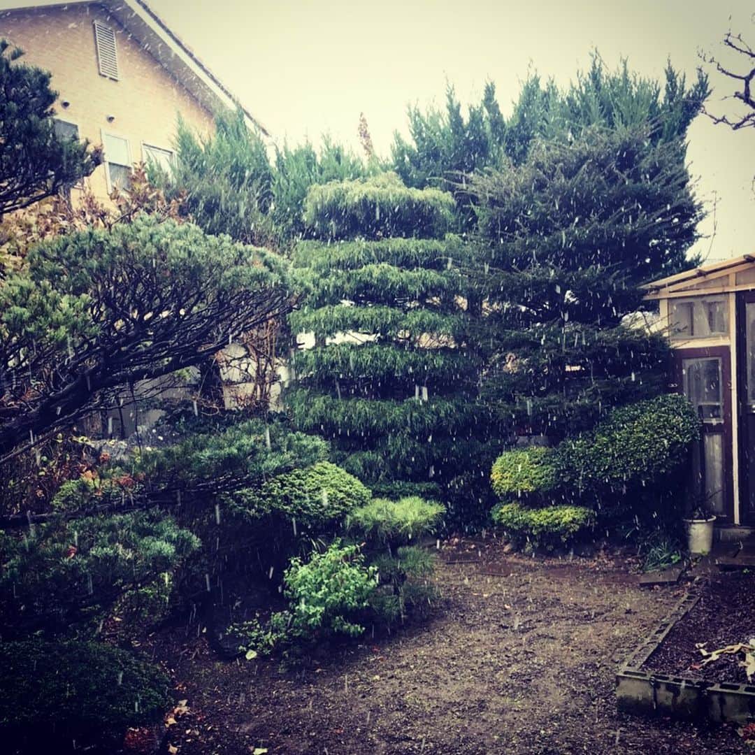 熊木杏里のインスタグラム：「長野は、みぞれから雪になっている様です。☃️  冬の匂いが見える。」