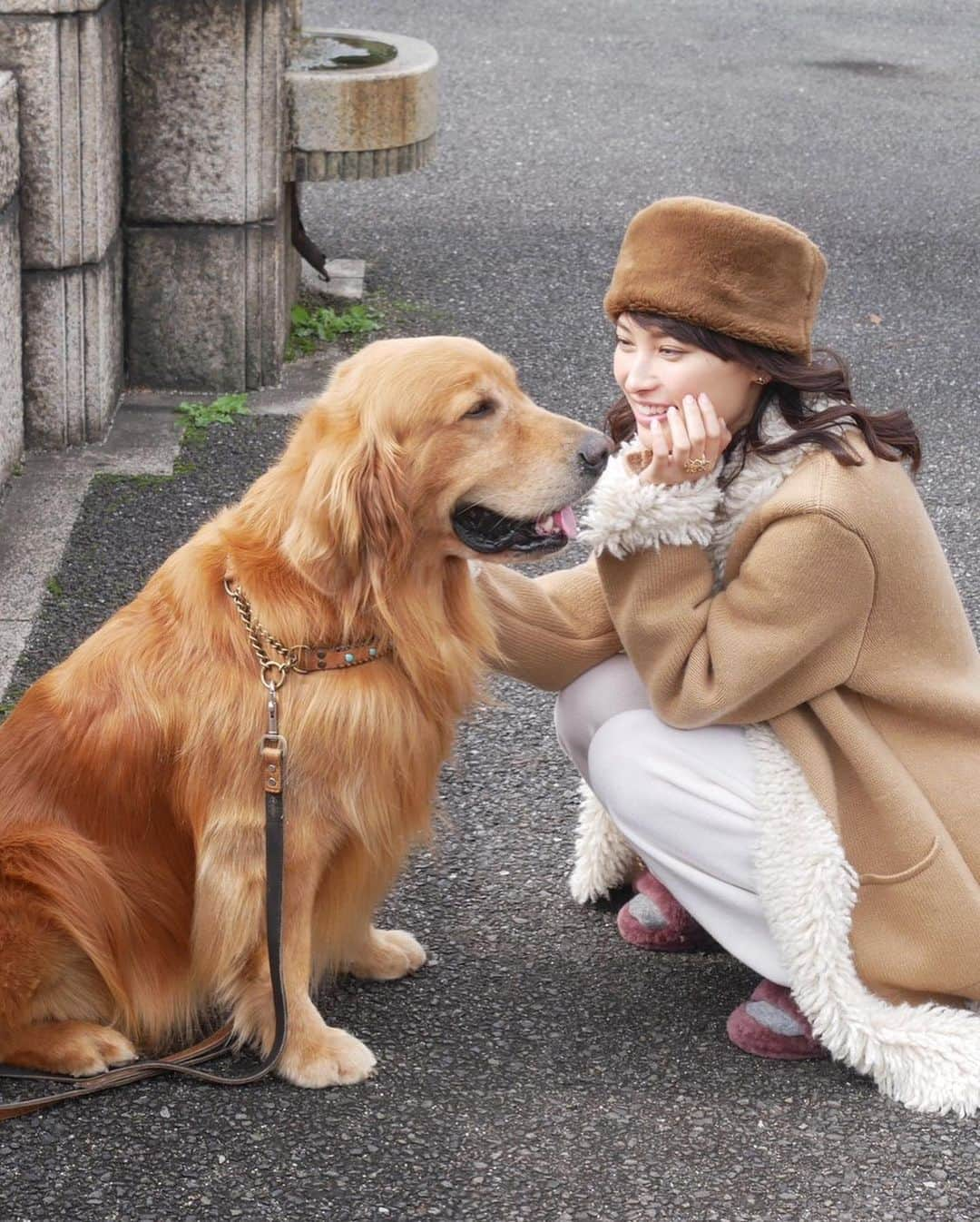 大政絢さんのインスタグラム写真 - (大政絢Instagram)「VanCleef ＆ Arpels で綴る幸せの一月では 再びゼウスくんと共演🐶✨ @precious.jp」12月14日 11時30分 - aya_omasa_official