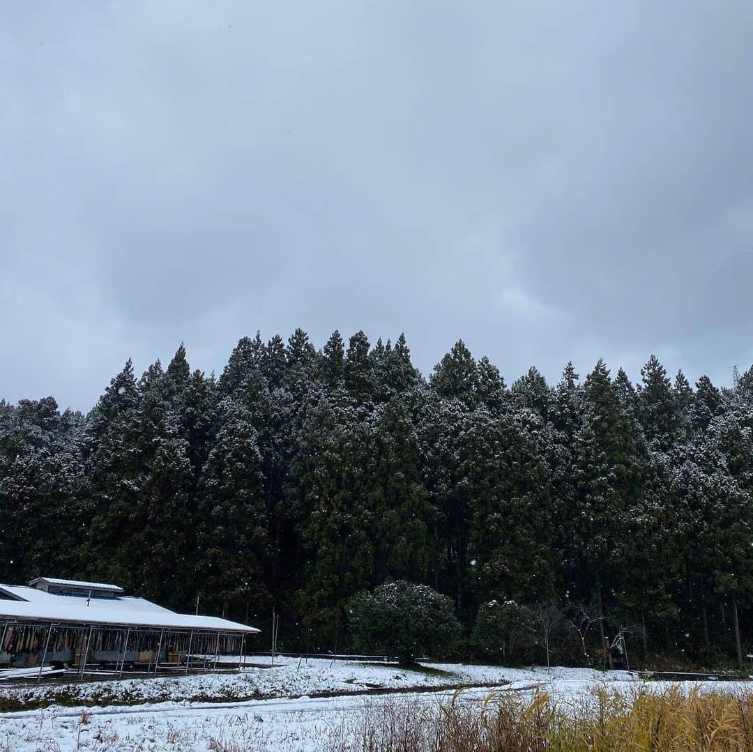 三浦友加さんのインスタグラム写真 - (三浦友加Instagram)「鉛色の空から白い雪  丸池様は  晴れやかな瑠璃色  瑠璃光如来様も瑠璃色なのでしょうか」12月14日 11時25分 - miurayuka