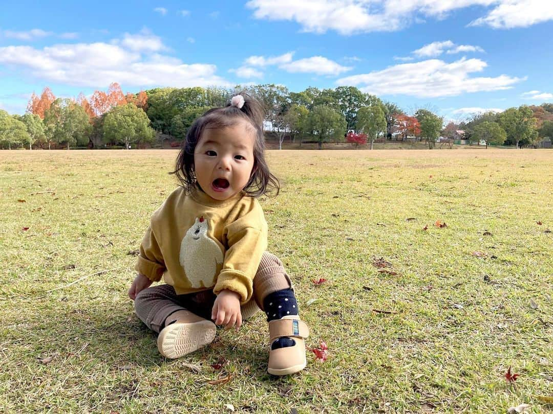 aco.さんのインスタグラム写真 - (aco.Instagram)「2020.12.14  11/21おでかけpic③  娘が眠くなる前に 少し芝生で遊びました  やっぱり最初は芝生をちぎっていたけど この頃は少しずつ靴にも慣れてきて ちょっと歩いて楽しんでました☺️ . . . 1枚目picみたいな 精一杯口を開けて「あ！」って言う時 たまらなく好きです〜🤤 . . . . . #aco子育て記録 #acoおでかけ記録 .」12月14日 11時31分 - aco.chaaaaan