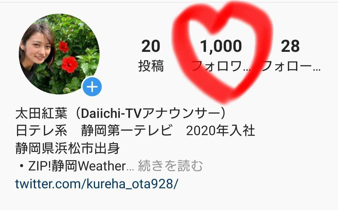 太田紅葉のインスタグラム：「こんにちは🍁  先日、Instagramのフォロワーが1000人を突破しました！ Instagramを始めて1ヶ月ちょっとなのに、本当にありがたいです💞 これからもたくさん情報を発信していきますのでよろしくお願いします！  良かったらTwitterの方もフォローしてください✨ http://twitter.com/kureha_ota928/  #DaiichiTV #静岡第一テレビ #アナウンサー #女子アナウンサー #新人アナウンサー #女子アナ #太田紅葉 #紅葉 #静岡県 #静岡  #日テレ系 #フォロワー1000人 #instagood」