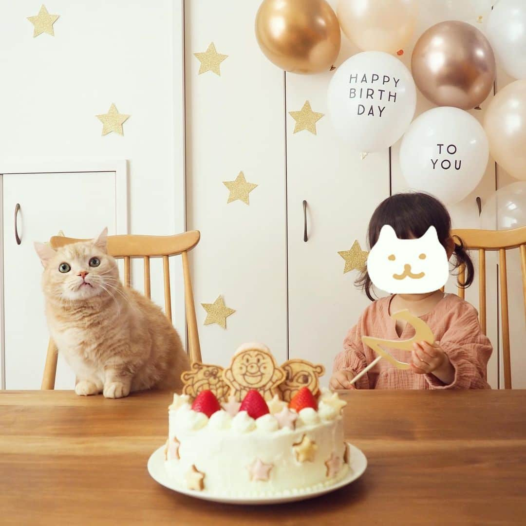 ぷーさんのインスタグラム写真 - (ぷーInstagram)「先日妹があっという間に２歳になりました🎉 . ケーキを狙うハンターぷーちゃん…🐈（5枚目） . #2歳誕生日 #アンパンマンケーキ #娘とぷーちゃん🐈 .」12月14日 11時51分 - pooh0403