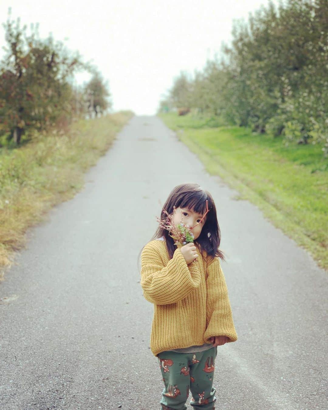 日高薫のインスタグラム：「今年も紅葉🍁の綺麗な時期に🍎狩りへ😋  #長野 #信州 #りんご #りんご狩り#🍎 #🍁 #空気が綺麗 #お蕎麦食べて釜飯買って帰るが定番#自然が好き#4歳 #女の子ママ」