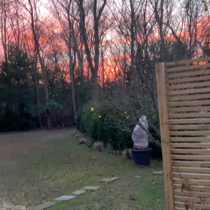 ジェニファー・エスポジートのインスタグラム：「And another day of 2020 is over.  Mother Nature showing us yet again that tomorrow is coming. A new day to do better, be better and make a better world for us all. It can be done.   So many of you reached out to offer to help me help others from the last post. Really warmed my heart. Have faith knowing that there is still goodness out there. To remind you, look at the sky and at my pups who could care less that I’m winning at scrabble. 🐶」