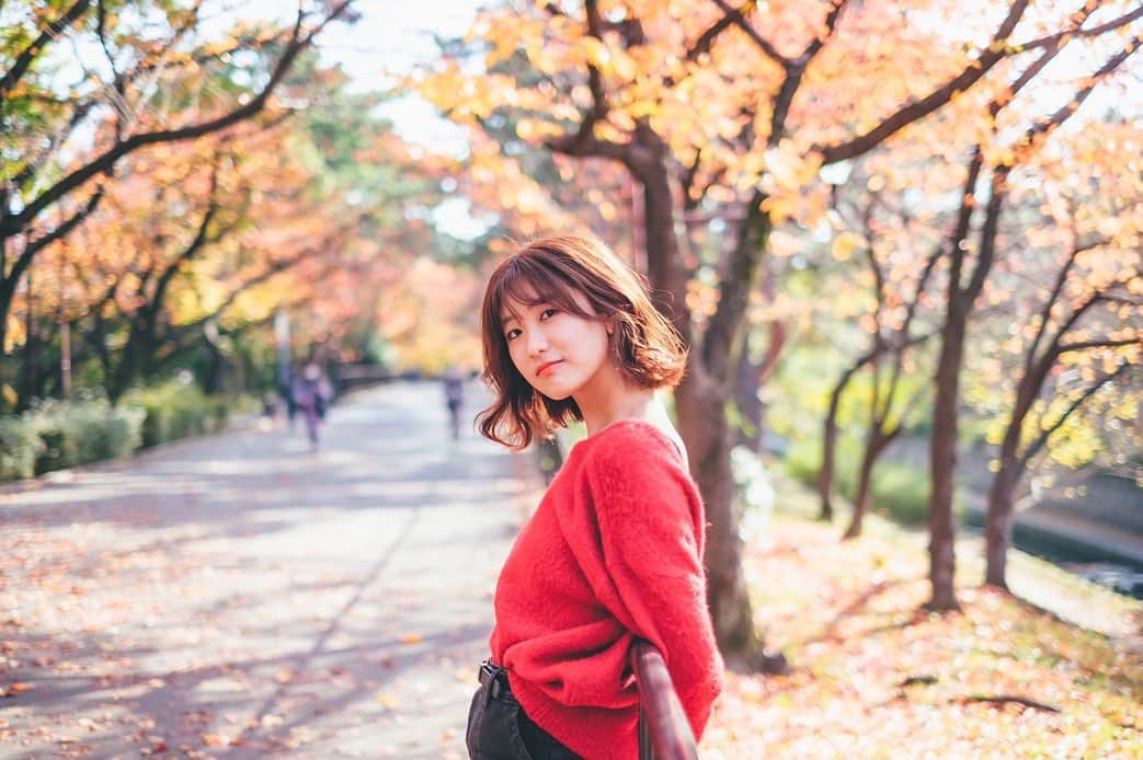 藤原万由子のインスタグラム：「. . Photo by @yu_umaa06  . . 今年唯一の紅葉🍁 11月なのに夏日並みの気温だった😌」