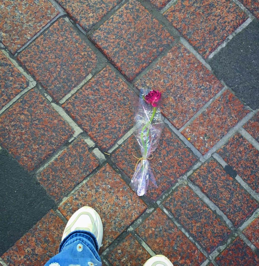 honoka のインスタグラム：「2年ぶりにこの光景みた。。。🌹 誰かの落とし物。」