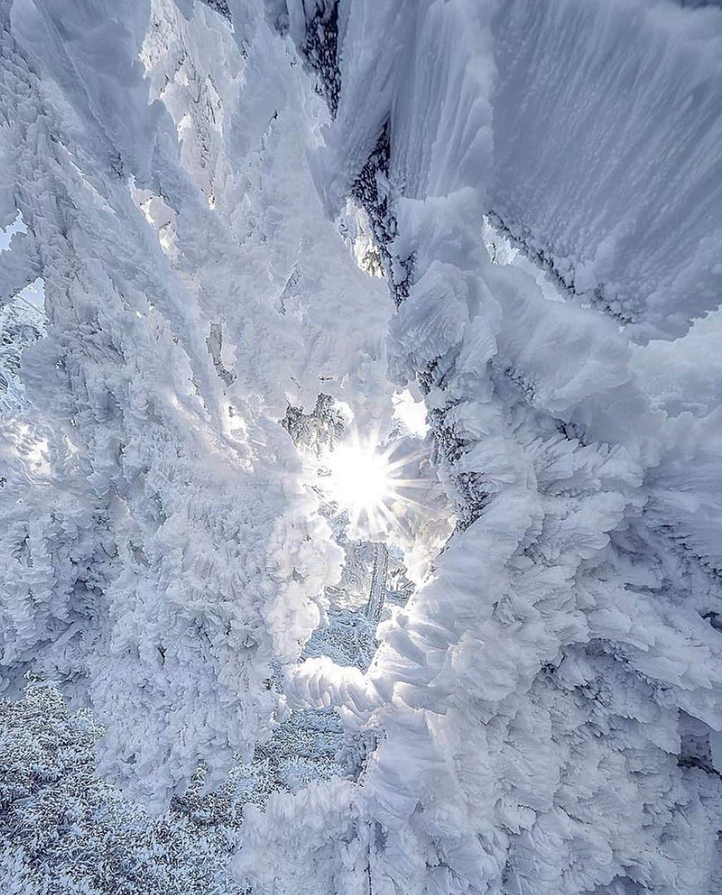 登山*トレッキング*アウトドア『.HYAKKEI』さんのインスタグラム写真 - (登山*トレッキング*アウトドア『.HYAKKEI』Instagram)「凄まじい霧氷ですね！﻿ これで12月頭なのだからこれからどこまで成長するのでしょう……❄️﻿ ﻿ ﻿ photo by @susu.kou  ﻿ ﻿ ﻿ ﻿ あなたの山の思い出picを#hyakkeime で投稿してください！みんなで素敵なお山ギャラリーをつくりましょー！﻿ ﻿ ﻿ ﻿ #登山好きな人と繋がりたい #登山 #山登り #山歩き #山が好き #landscape #絶景 #日本の絶景 #as_archive #vsco #reco_ig #光と影 #雪山 #奈良 #八経ヶ岳 #明星ヶ岳」12月14日 21時55分 - hyakkei_me