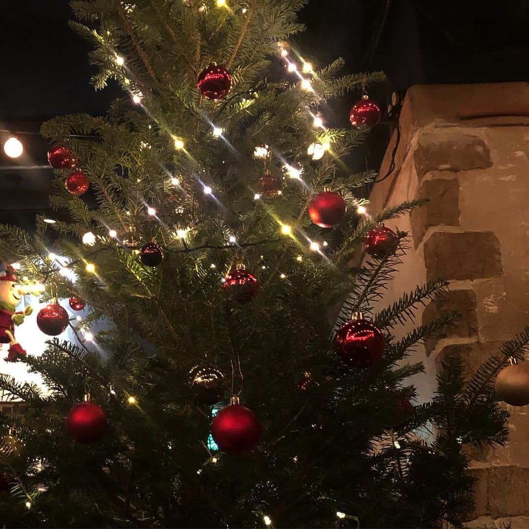 新田湖子さんのインスタグラム写真 - (新田湖子Instagram)「. 皆のお家にはクリスマスツリーは立ってますか？🎄🥂」12月14日 22時34分 - coconitta0809